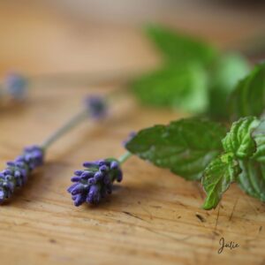 Spring Herb Cooking Class